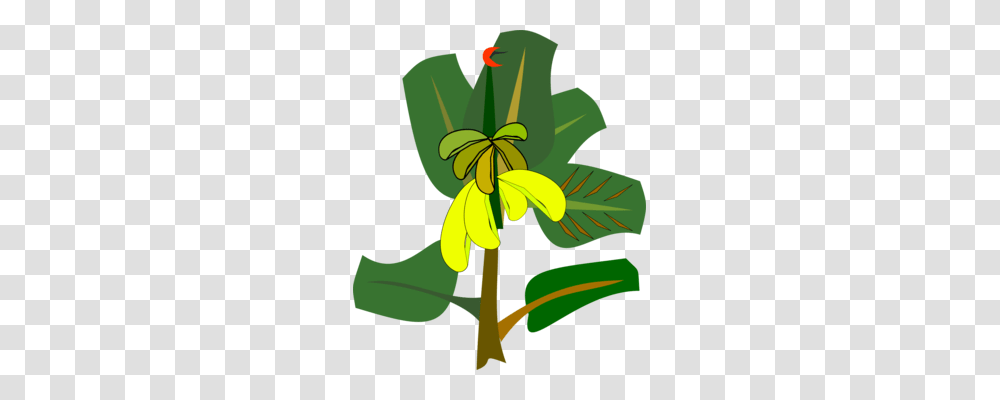 Drawing Tree, Plant, Iris, Flower, Blossom Transparent Png