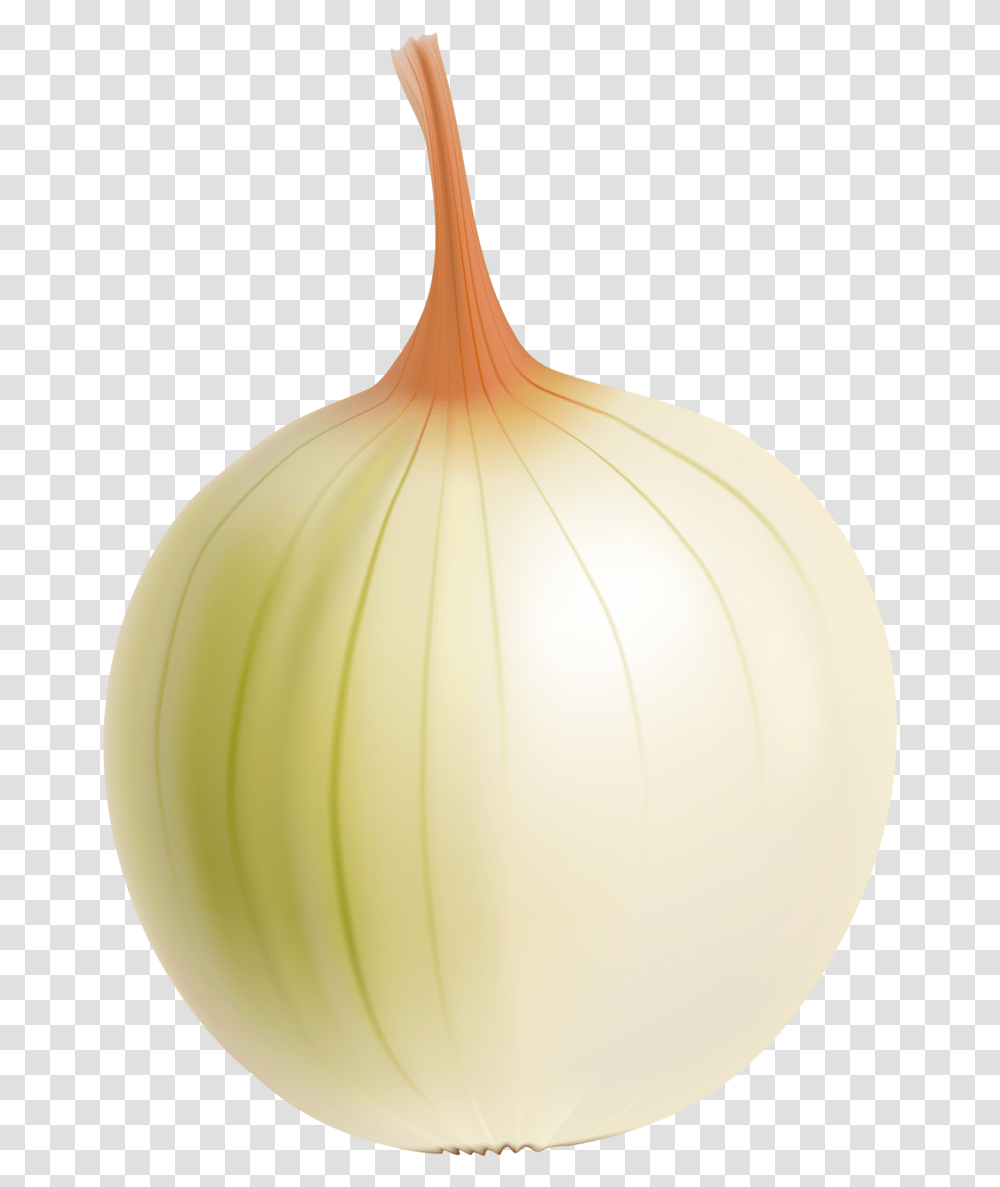 Drawing Vegetable Onion Yellow Onion, Plant, Lamp, Food, Shallot Transparent Png