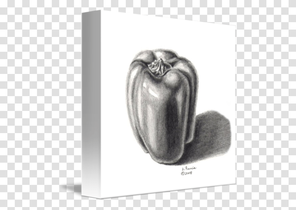 Drawing Vegetable Pepper Green Pepper Drawing, Plant, Food, Sketch Transparent Png