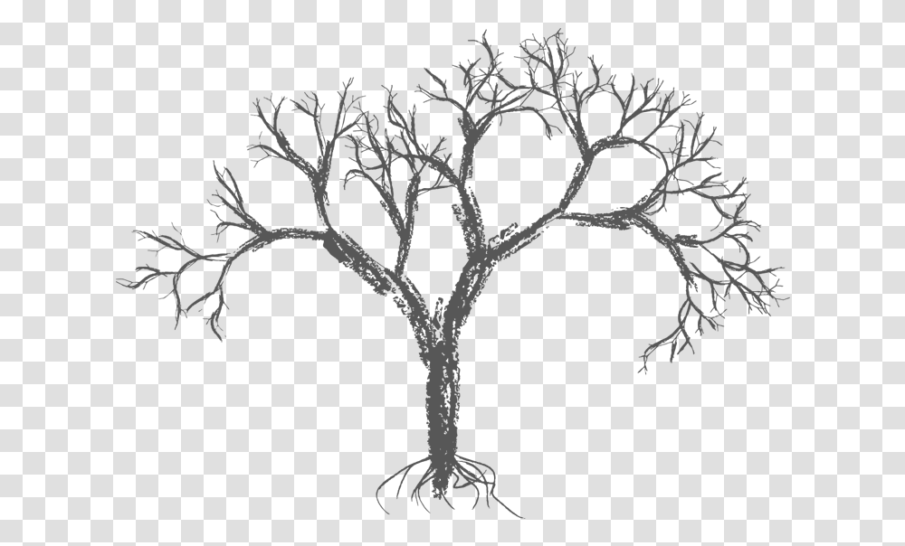 Drawing Wall Easy Free Vector Tree, Plant, Root, Stencil, Silhouette Transparent Png