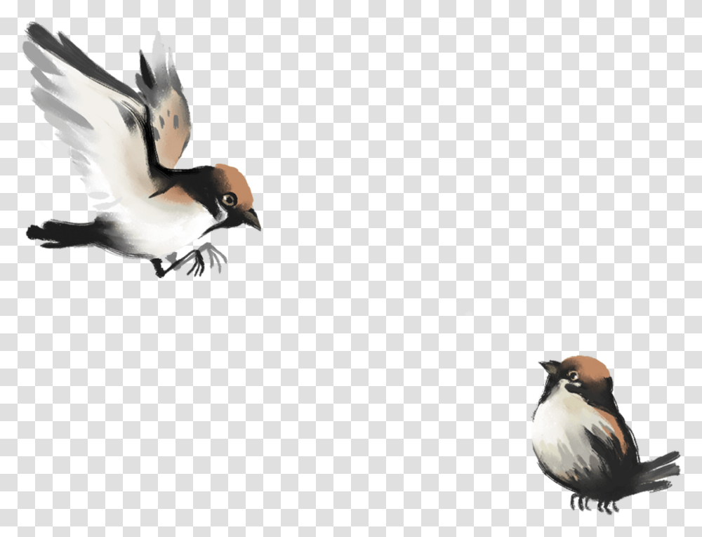 Drawing Wallpapers Iphone, Bird, Animal, Flying, Finch Transparent Png