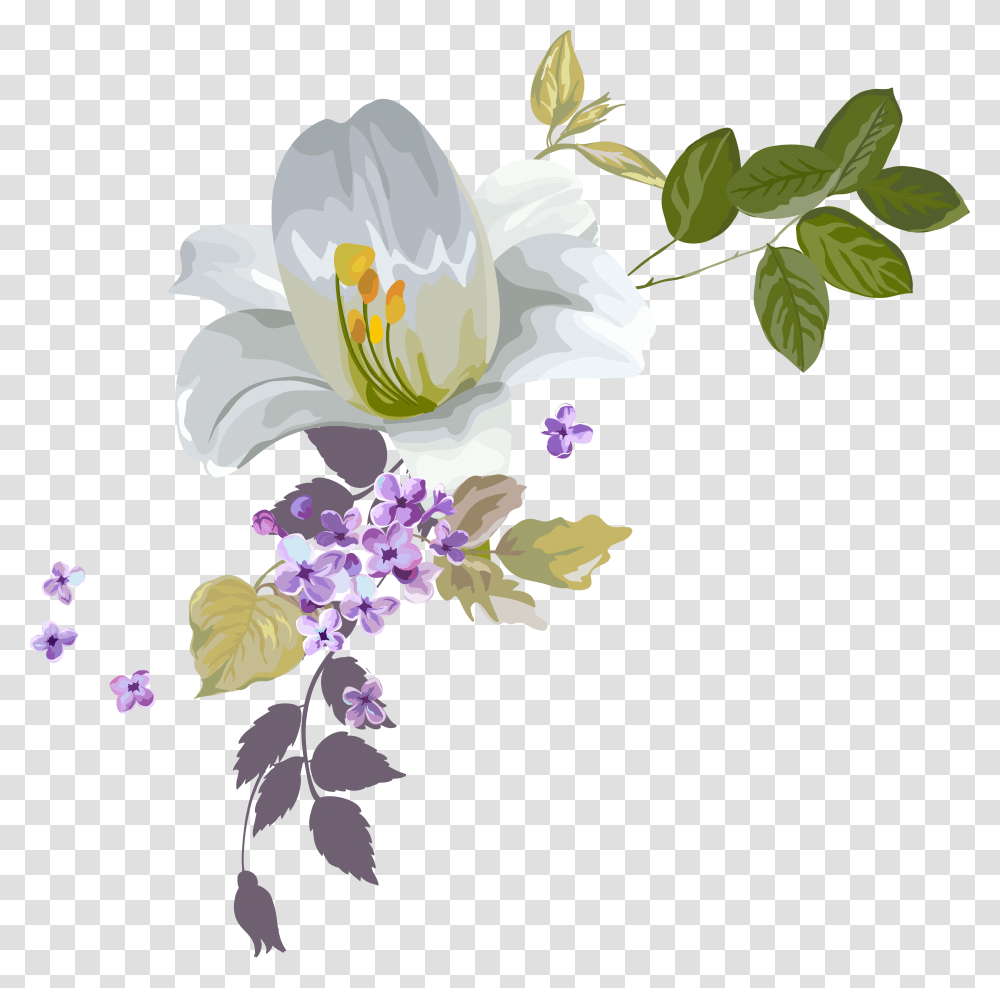 Drawing Water Watercolor, Plant, Flower, Blossom Transparent Png