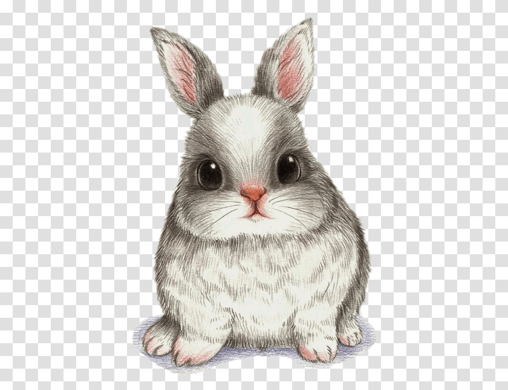 Drawing Watercolor Painting Art Image Cute Bunny Drawing Beautiful Drawing Pencil Shading, Mammal, Animal, Rabbit, Rodent Transparent Png