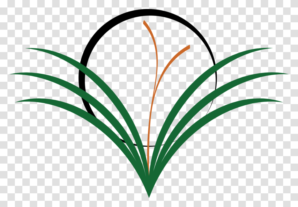 Drawing Weed Lawn Computer Icons String Trimmer, Plant, Produce, Food, Vegetable Transparent Png