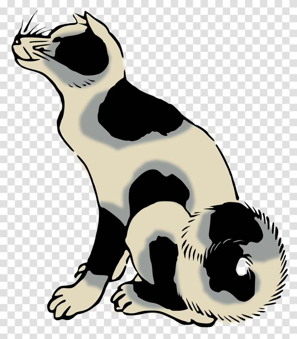 Drawing Whiskers Cat Dog Computer Icons Breed Vs Species, Animal, Mammal, Bird, Wildlife Transparent Png