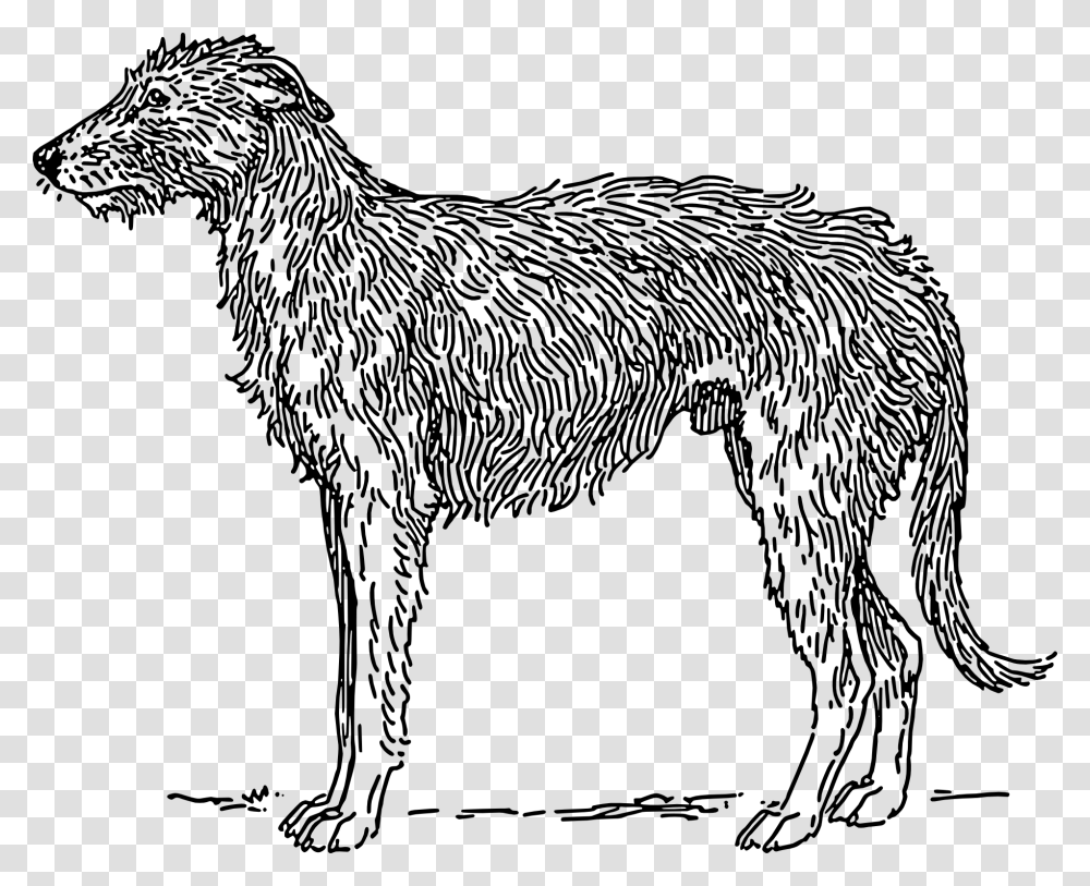 Drawings Of Animal Fur, Mammal, Wolf, Red Wolf, Canine Transparent Png