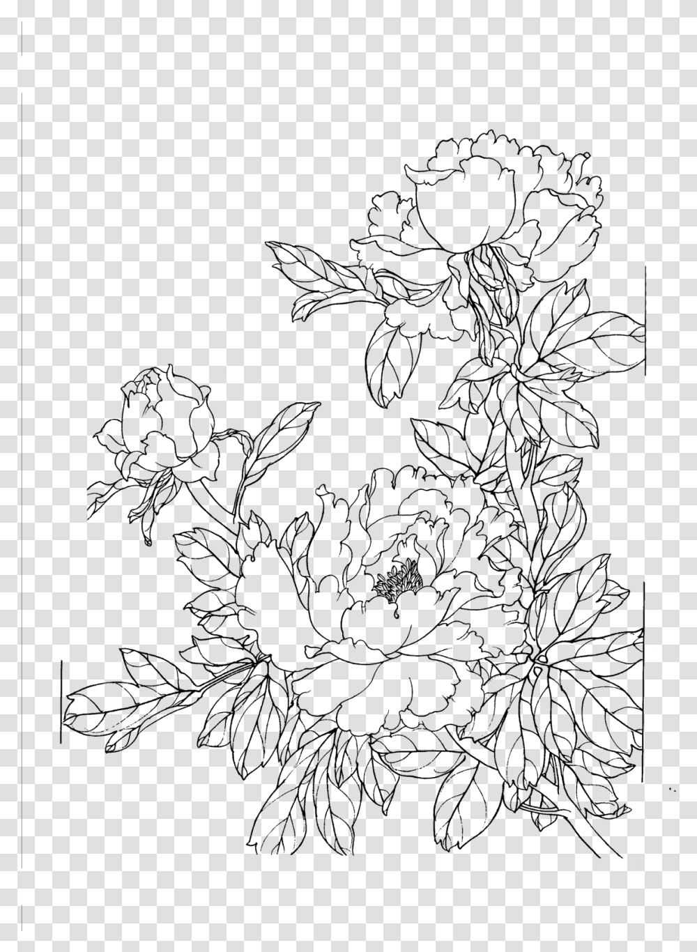 Drawings Of Chinese Flowers, Gray, World Of Warcraft Transparent Png