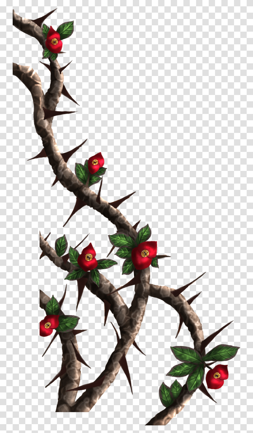 Drawings Of Roses With Vines And Thorns Crown Painted, Animal, Bird, Parrot, Bee Eater Transparent Png
