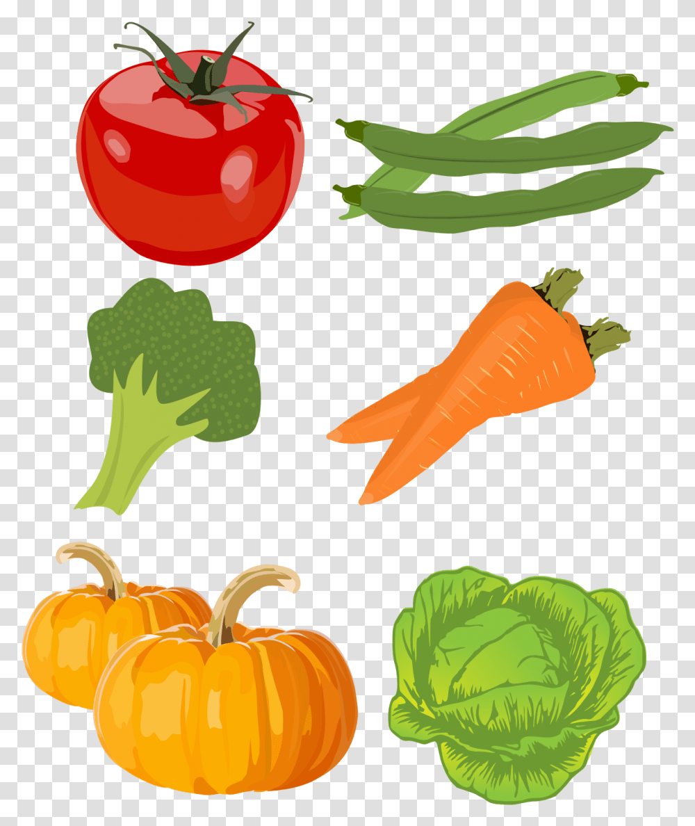 Drawings Of Vegetables Free Drawings Of Vegetables, Plant, Food, Produce, Carrot Transparent Png