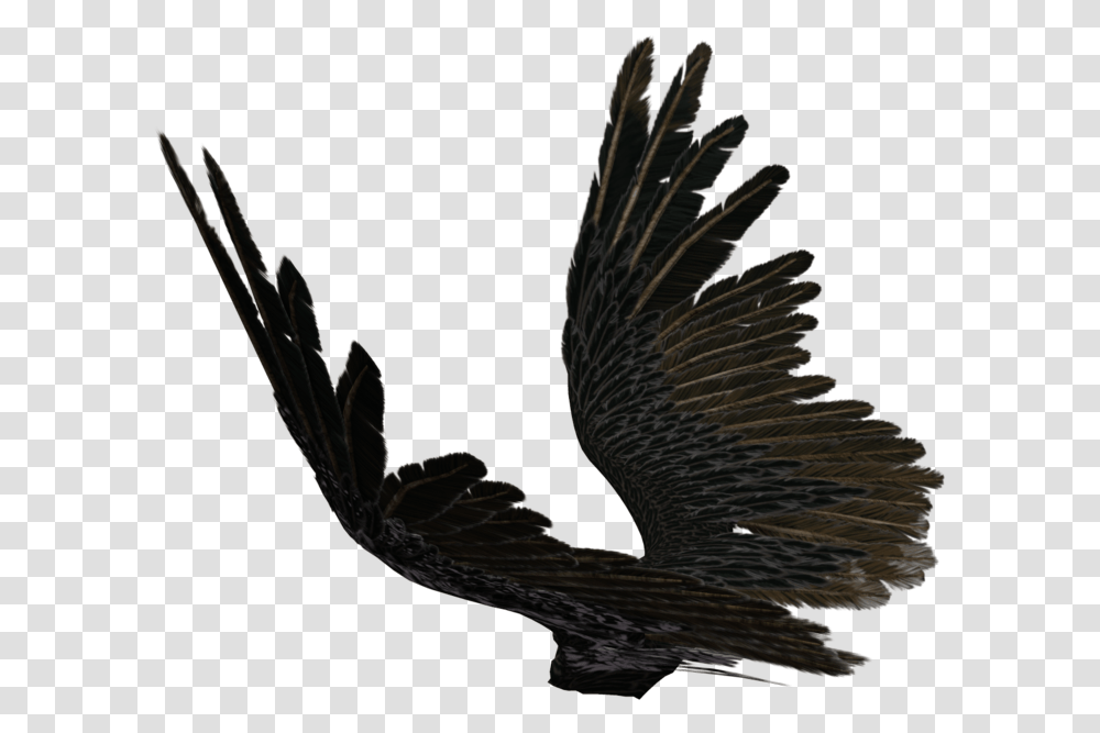 Drawn Angel Torn Wing Source Black Wings Side, Eagle, Bird, Animal, Vulture Transparent Png
