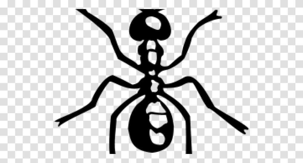 Drawn Ant Simple Clipart Download Ant Clipart, Invertebrate, Animal, Black Widow, Insect Transparent Png