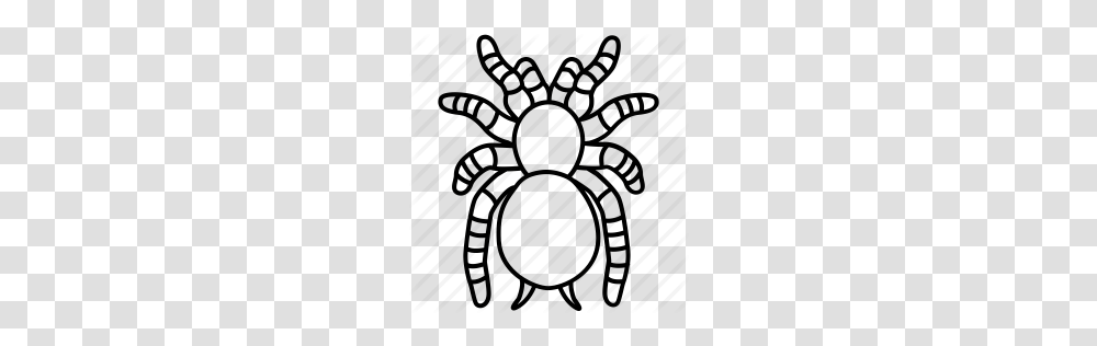 Drawn Arachnid Creepy Spider, Number, Rug Transparent Png