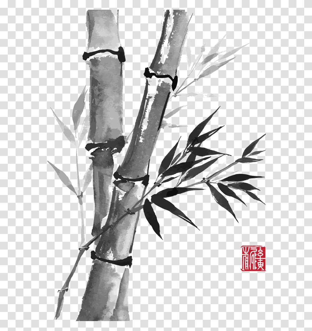 Drawn Bamboo Kawayan Chinese Bamboo Drawing, Plant, Aloe Transparent Png