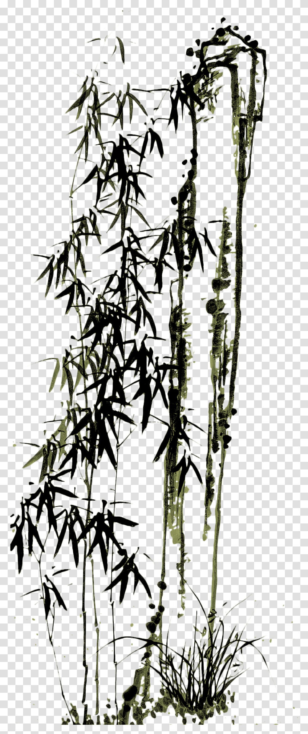 Drawn Bamboo Kawayan Chinese Painting Bamboo, Tree, Plant, Outdoors, Nature Transparent Png