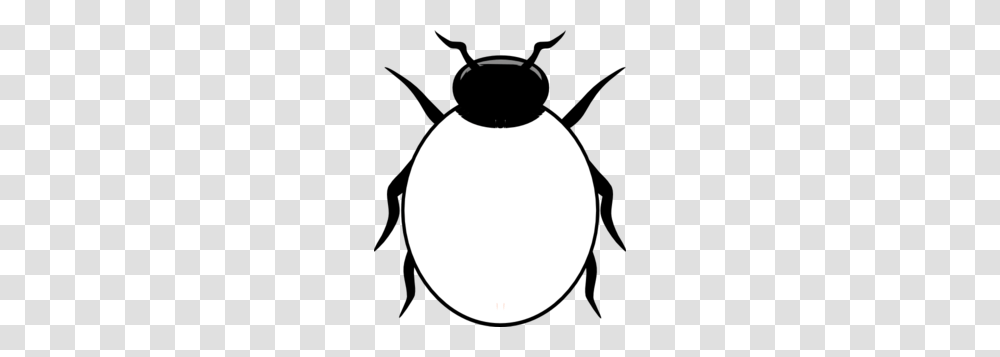 Drawn Beetle Black And White, Moon, Outer Space, Night, Astronomy Transparent Png