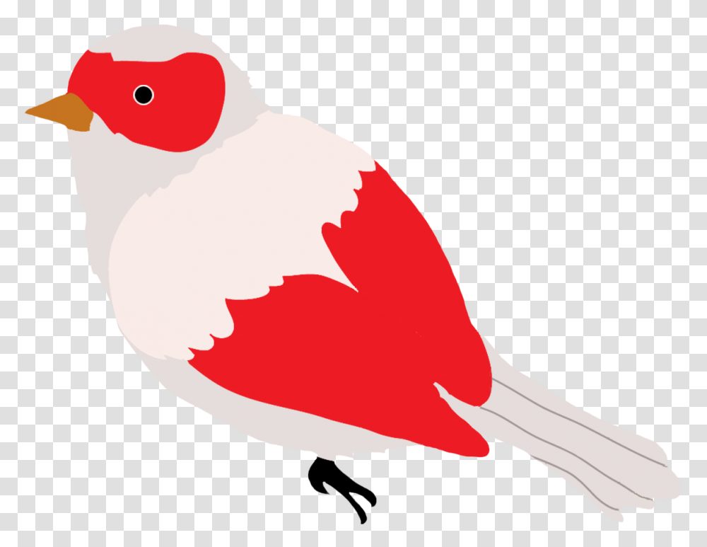 Drawn Bird, Animal, Fowl, Poultry, Chicken Transparent Png