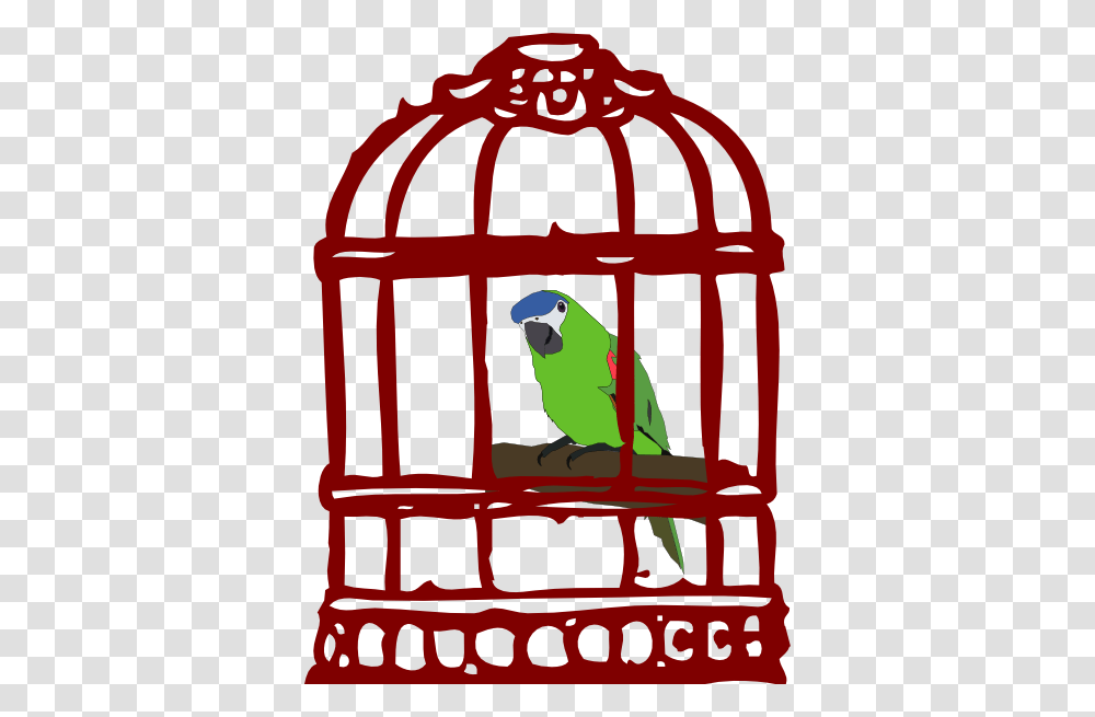 Drawn Birdcage Anatomical, Animal, Parrot, Macaw Transparent Png