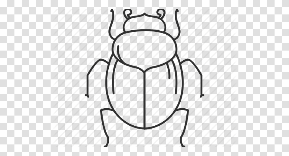 Drawn Bugs Dung Beetle, Rug Transparent Png