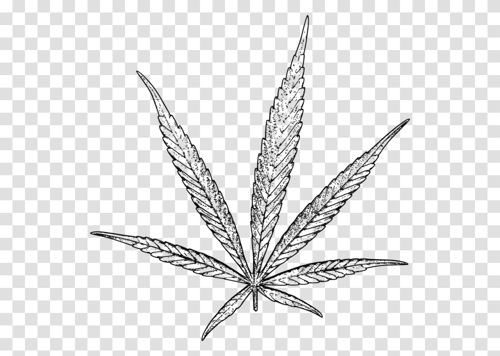 Drawn Cannabis Stoned Cannabis Drawing, Plant, Leaf, Weed, Bird Transparent Png