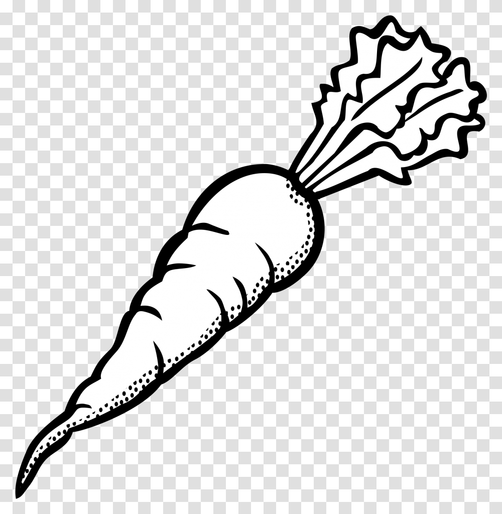Drawn Carrot Vegetable Carrot Clipart Black And White, Plant, Food, Produce, Parsnip Transparent Png