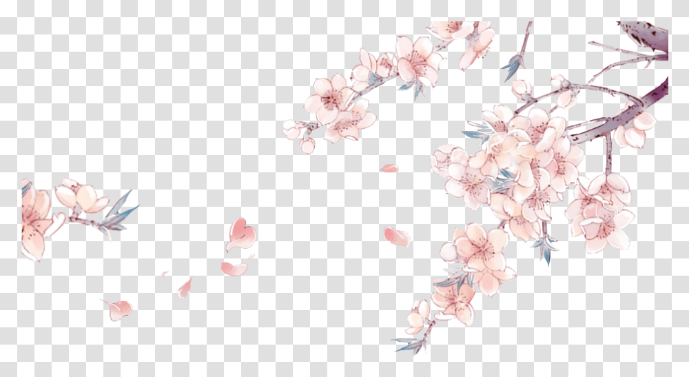 Drawn Cherry Blossom China Anime Cherry Blossom Background, Plant, Flower, Petal Transparent Png