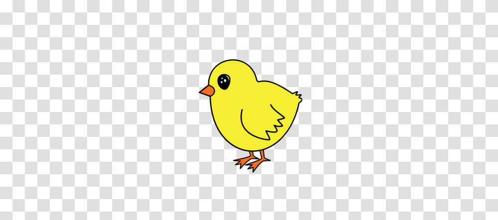 Drawn Chicken Easy, Bird, Animal, Poultry, Fowl Transparent Png
