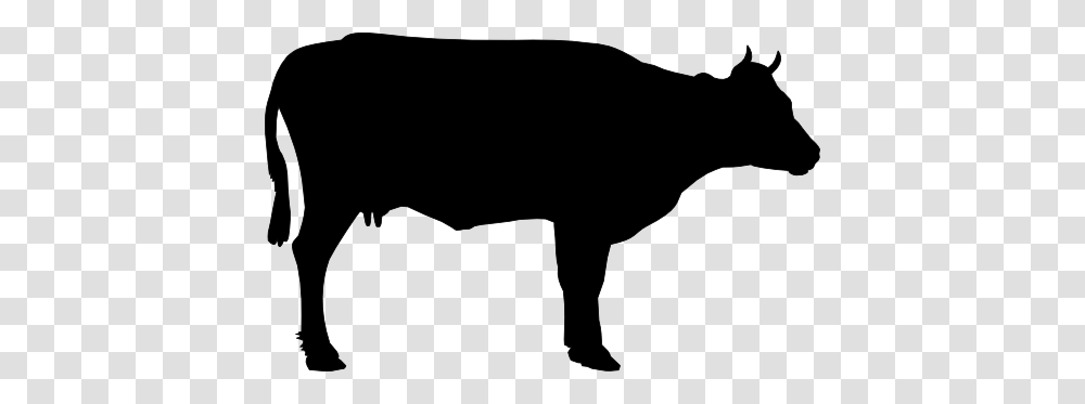 Drawn Cow Clip Art, Silhouette, Mammal, Animal, Bull Transparent Png