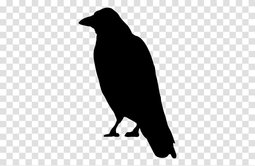 Drawn Crow Clip Art, Silhouette, Animal, Bird, Blackbird Transparent Png