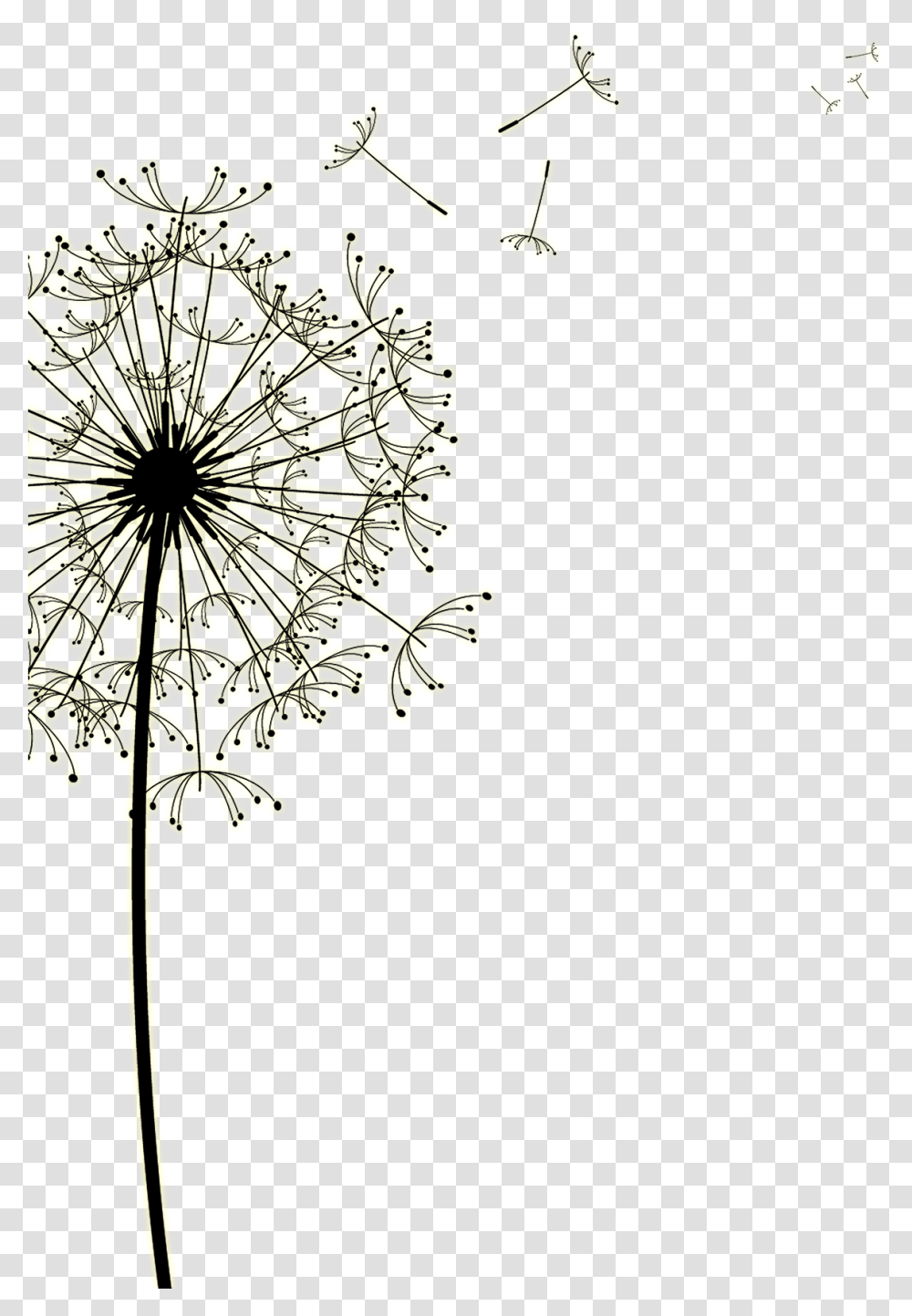 Drawn Dandelion Jar Dandelion, Plant, Food, Seasoning, Apiaceae Transparent Png