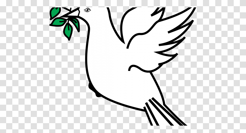 Drawn Dove Olive Branch Drawing, Bird, Animal, Pigeon Transparent Png
