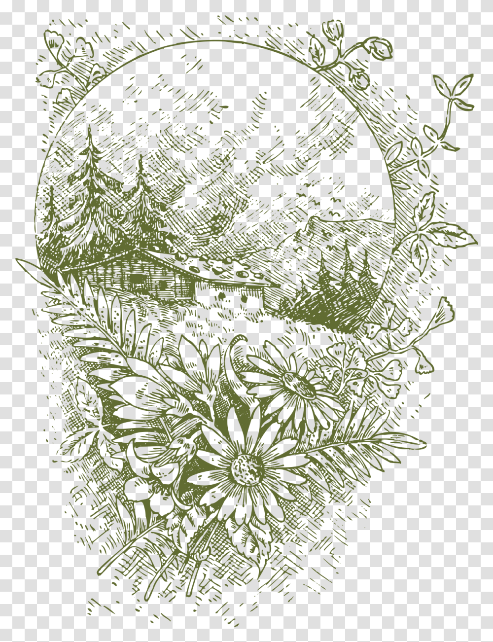 Drawn Floral Vector Vintage Free Clip Art Stock Flower Environment Drawing, Plant, Graphics, Text, Floral Design Transparent Png