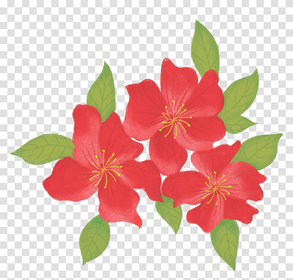 Drawn Flower Hand Drawn Wind Azalea Flower Commercial Flower Cartoon, Geranium, Plant, Petal, Acanthaceae Transparent Png
