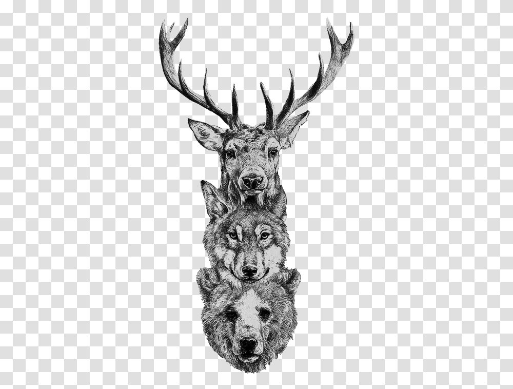 Drawn Horns Tumblr Native American Animals Tattoos, Mammal, Antelope, Wildlife, Wolf Transparent Png