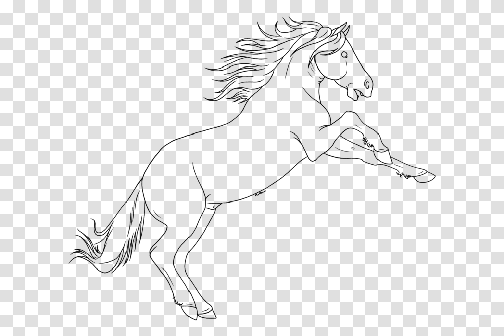Drawn Horse Mustang Horse Mustang, Gray, World Of Warcraft Transparent Png