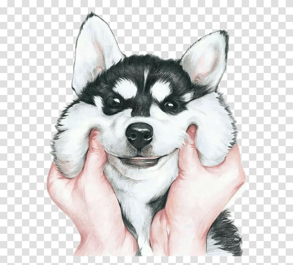 Drawn Husky Kawaii Husky Stickers, Dog, Pet, Canine, Animal Transparent Png