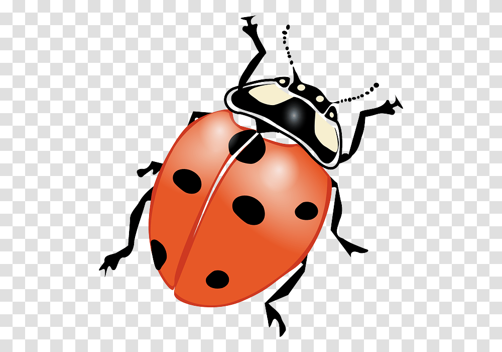 Drawn Lady Beetle Clipart, Insect, Invertebrate, Animal, Wasp Transparent Png