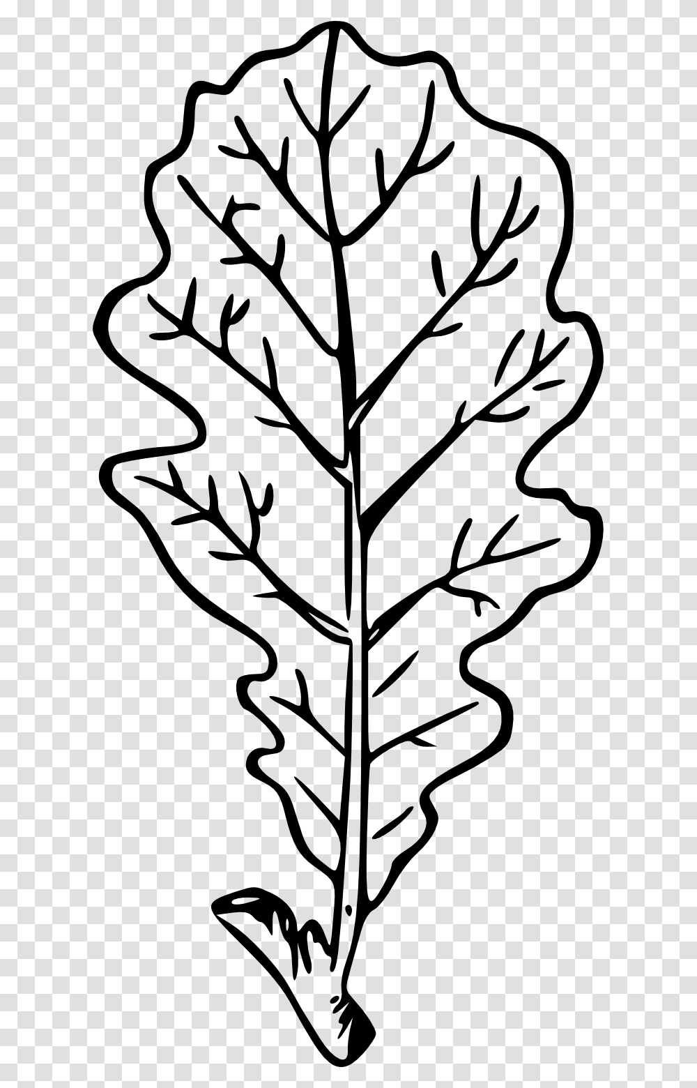 Drawn Leaves Drawing, Leaf, Plant, Tree, Stencil Transparent Png
