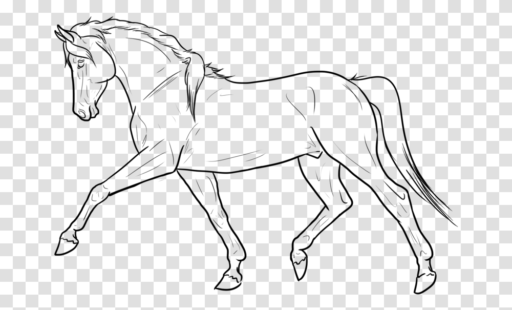 Drawn Lines Horse Lines, Gray, World Of Warcraft Transparent Png