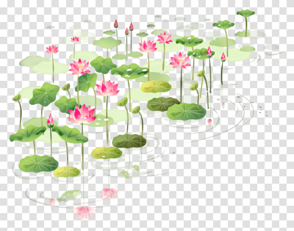 Drawn Lotus Shapla Floral Lotus Frame, Plant, Flower, Blossom, Lily Transparent Png