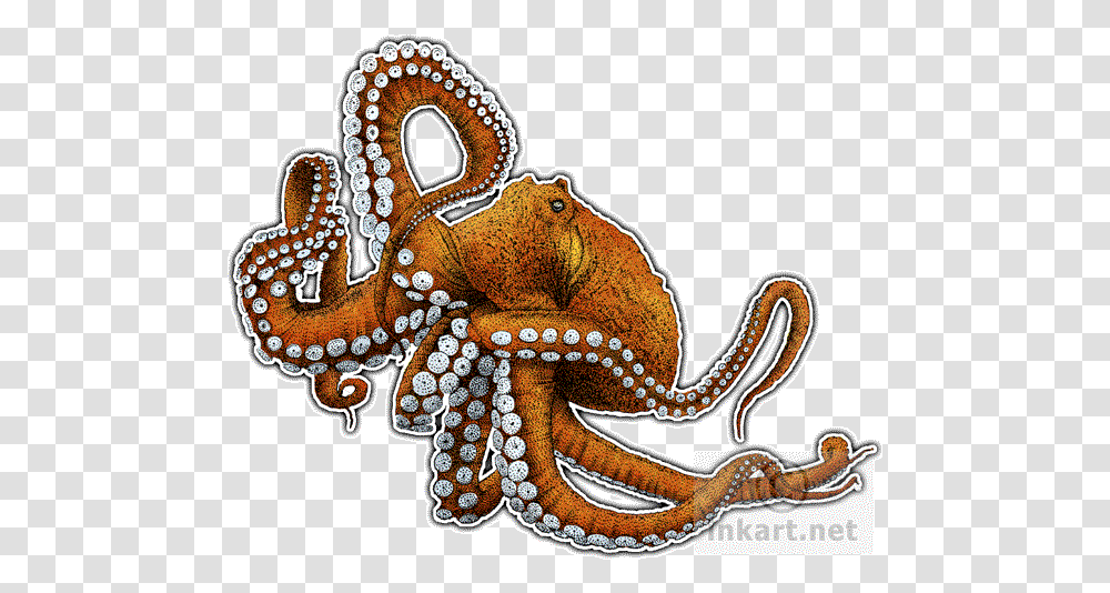 Drawn Octopus Background, Invertebrate, Sea Life, Animal, Snake Transparent Png