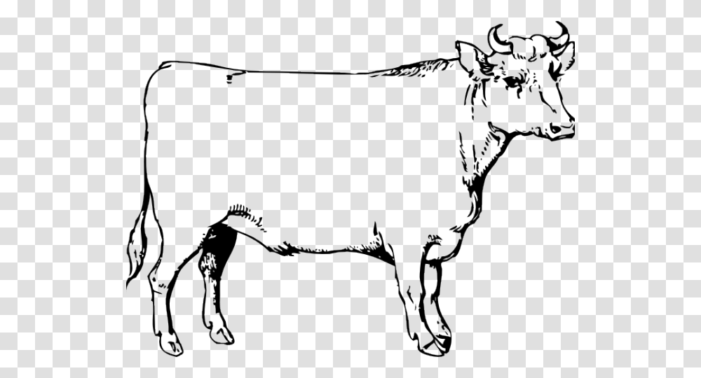 Drawn Ox, Bull, Mammal, Animal, Bow Transparent Png