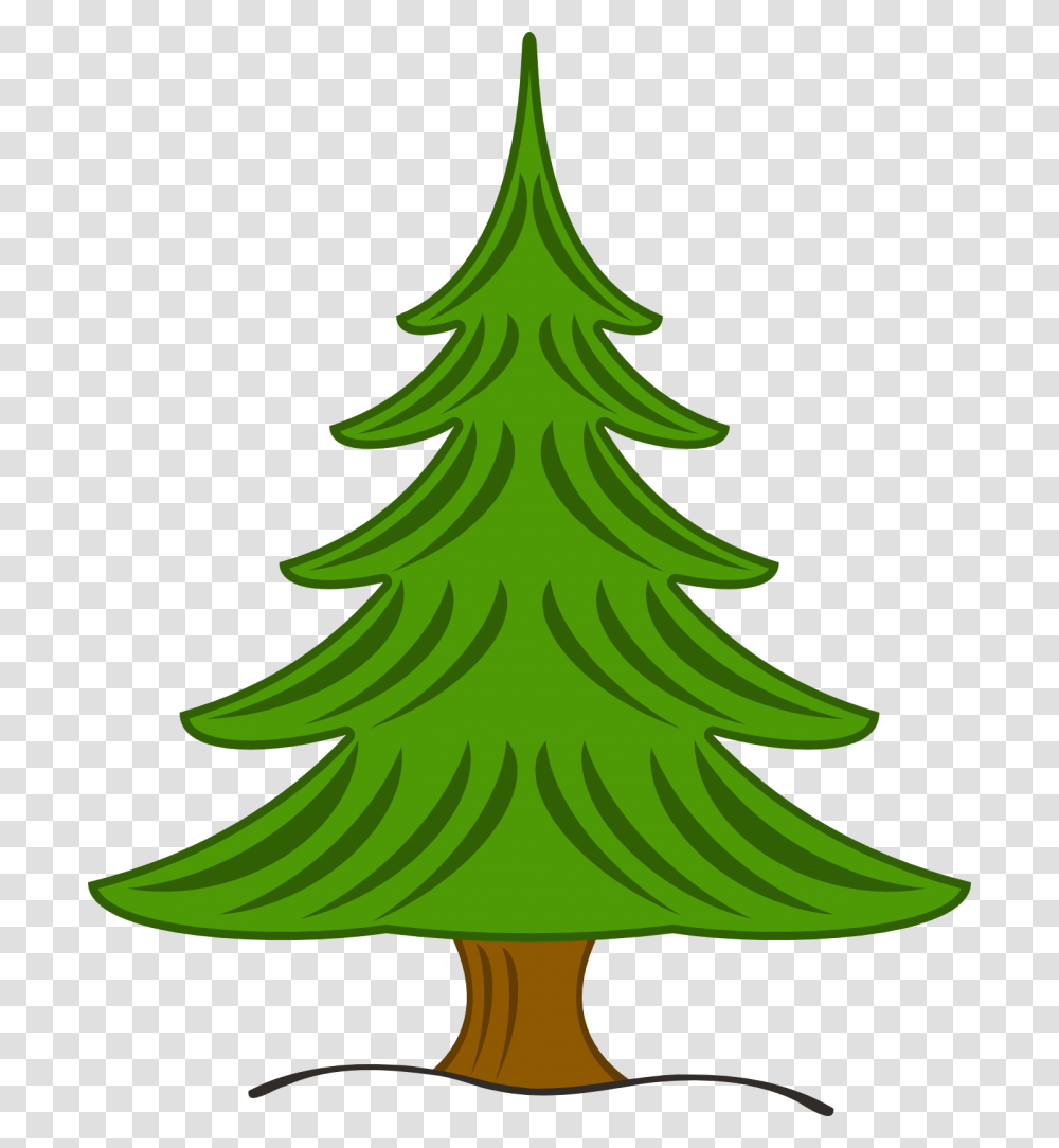 Drawn Pine Tree Drawing, Plant, Ornament, Christmas Tree Transparent Png