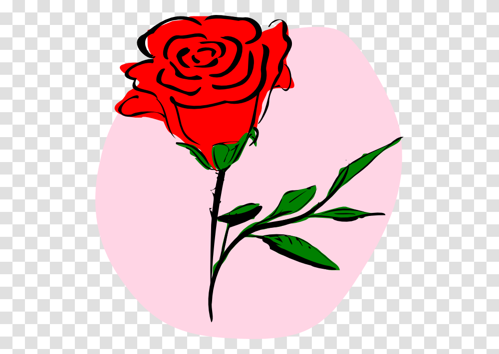 Drawn Red Rose Cool, Flower, Plant, Blossom, Petal Transparent Png