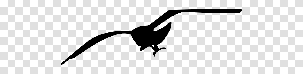 Drawn Seagull Vector, Stencil, Silhouette, Bird, Animal Transparent Png