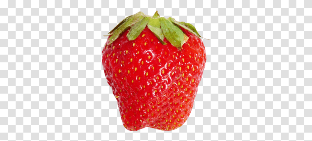 Drawn Strawberry Background Strawberry, Fruit, Plant, Food Transparent Png