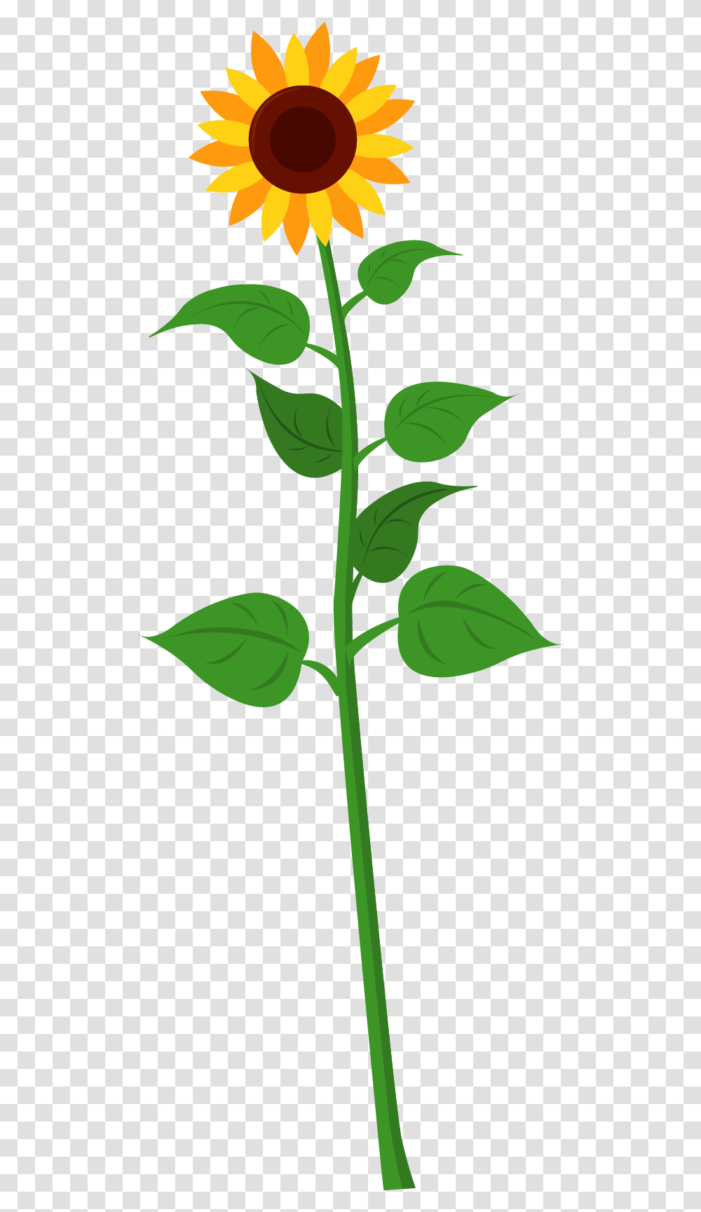 Drawn Sunflower Tall Sunflower Clip Art Of Tall Sunflower, Leaf, Plant, Green, Tree Transparent Png