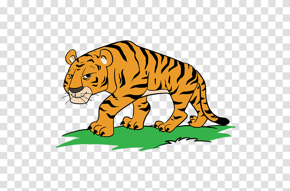 Drawn Tigres Catoon, Tiger, Wildlife, Mammal, Animal Transparent Png