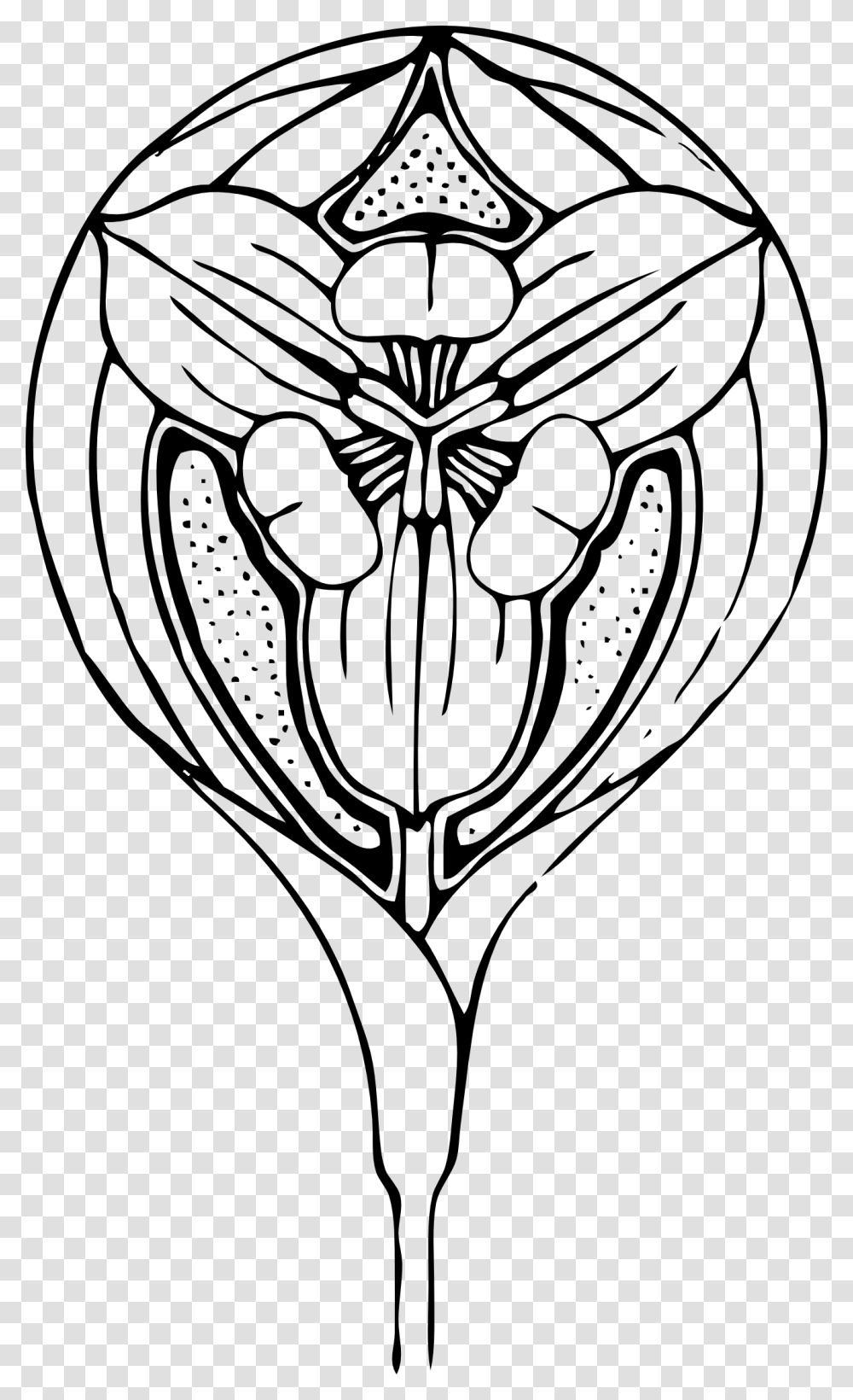 Drawn Tulip Tribal, Plant, Stencil Transparent Png