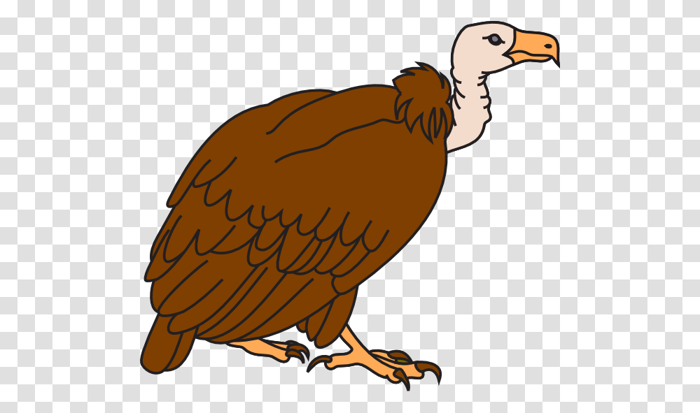 Drawn Turkey Vulture Clip Art, Bird, Animal, Condor, Eagle Transparent Png