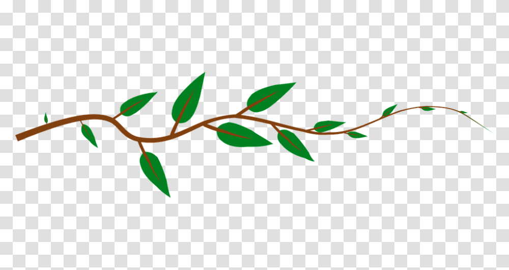 Drawn Vine Greenery, Leaf, Plant, Flower, Blossom Transparent Png